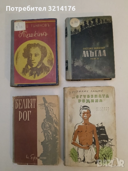 Мъгла. Том 2 - Еусебиу Камилар, снимка 1