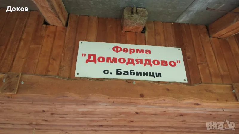 Имение 155 дка с.Бабинци, Тетевен.По договаряне., снимка 1