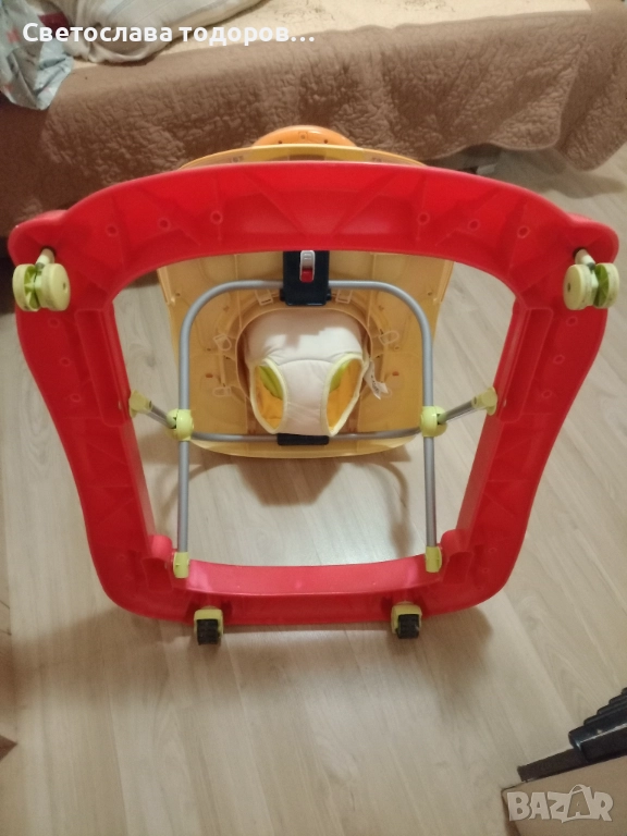 Паяк проходилка, снимка 1