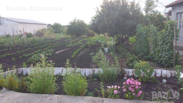 Къща в село Роза , снимка 4 - Къщи - 51789154