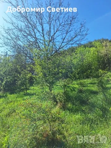 парцел в Еленският балкан , снимка 14 - Парцели - 50342176