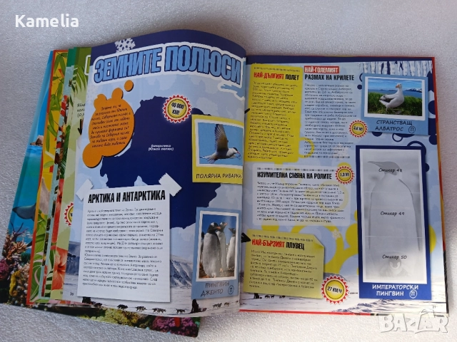 Billa Стикер-албум - Рекорди в света на животните, снимка 3 - Енциклопедии, справочници - 51702606