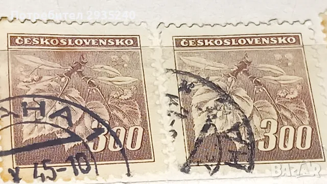 Марки Ceskoslovensko, снимка 5 - Филателия - 48758259
