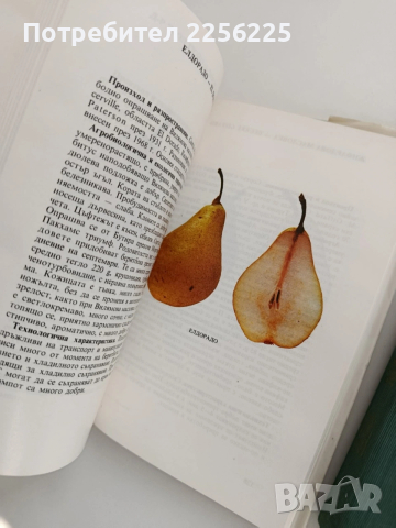 Малка полмология ( 1 и 2), снимка 4 - Специализирана литература - 53154707