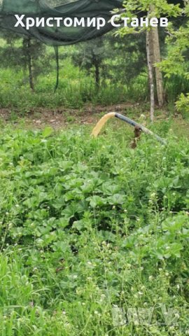 Сондажни услуги, сондиране за вода, снимка 5 - Други - 40001022