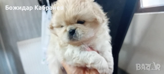 едно момче и две момичета , снимка 1