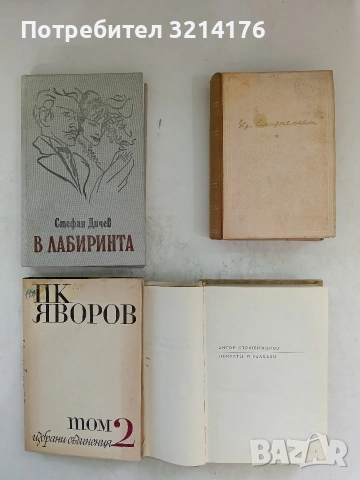 В лабиринта - Стефан Дичев