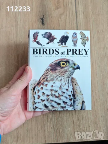 Birds of prey Хищни птици