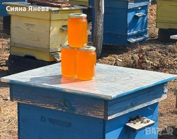 Чист Пчелен Мед, снимка 7 - Пчелни продукти - 55799544