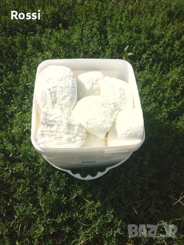 КОЗЕ мляко, Извара, Сирене, снимка 5 - Домашни продукти - 42454903