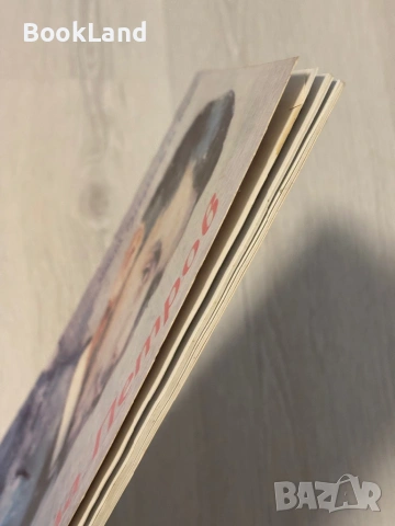 Никола Петров |Алманах| Гражданите на Видин, снимка 5 - Други - 53568540