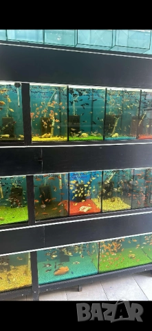 Продавам Стелаж с аквариуми 