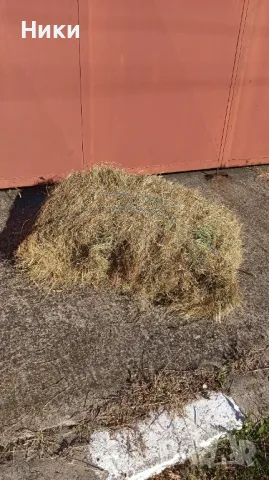 Люцерна бали, Слама малки бали, снимка 2 - За селскостопански - 47651784