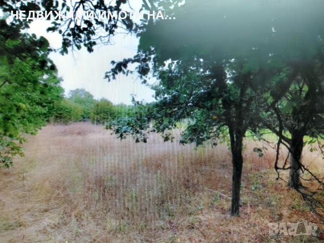 Вила в село Червен, снимка 7 - Вили - 52660493