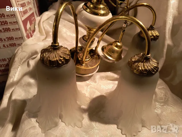 Полилей, снимка 10 - Полилеи - 34571311