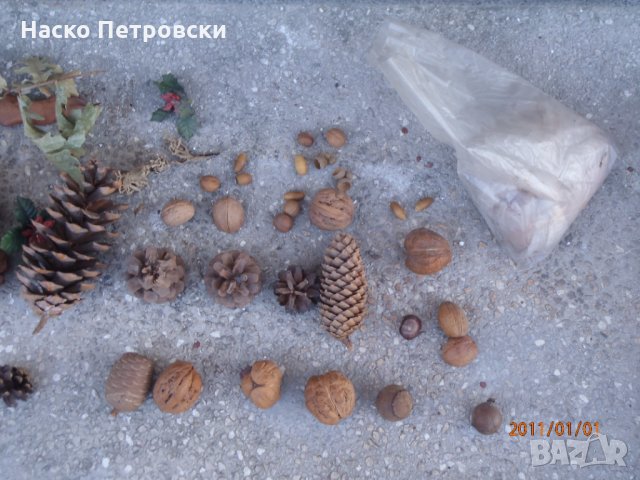 Колекция минерали, руди, сахарски ”рози”, сахарски пясък, шишарки,орехи,жълъди., снимка 6 - Колекции - 34196296