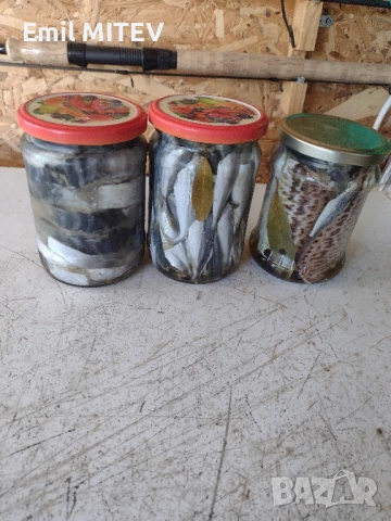 Деликатеси от Черноморието: мариновани риби - Веяна - прясна. , снимка 9 - Водни спортове - 44581064