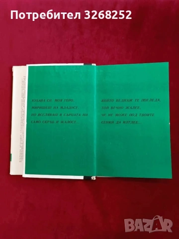 Любен Каравелов , снимка 3 - Художествена литература - 53039181
