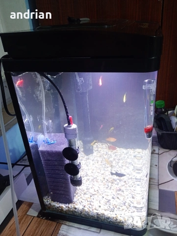 аквариум, снимка 4 - Аквариуми - 53656446