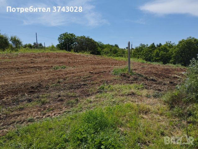 Продавам парцел в Малка Верея , снимка 10 - Парцели - 41057677