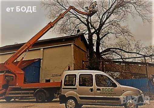 Рязане на дървета и клони