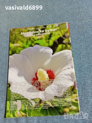 Списание "Цветя и дом" 11÷25 10/2011 , снимка 4 - Списания и комикси - 56317332