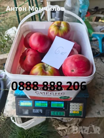 Продавам вкусни домати, снимка 4 - Домашни продукти - 55884872