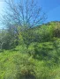 парцел в Еленският балкан , снимка 14