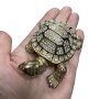 кутия за бижута луксозен сувенир костенурка жаба с камъни украса, снимка 6