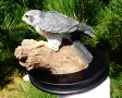 Статуетка,фигура птица Сокол Скитник Earth Home,сертификат. , снимка 11