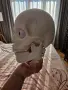 човешкото тяло говори , снимка 2