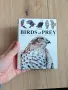 Birds of prey Хищни птици, снимка 1