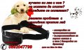 електронен нашийник против лай лаене и виене за дресура на ловни и домашни кучета, снимка 5