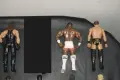 Кеч Фигури Batisa/Booker T/Tatanka/Roman Reigns/Kane/Big Show/Tatanka/Sting/Kalisto/Ryback/Shane , снимка 13