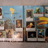 Албум стикери - Животните по света -Animals of the world 1989 from Panini, снимка 8 - Други - 38717419