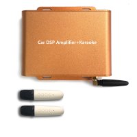 DSP Аудио усилвател с караоке система, 386, снимка 1 - Аудиосистеми - 42090023