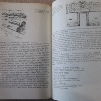 Книга "Инките - Милослав Стингъл" - 252 стр., снимка 7 - Специализирана литература - 36287532