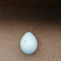 Колекционерско яйце от полускъпоцен камък, снимка 1 - Колекции - 36100011