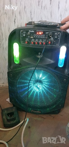 Караоке колона 12 инча 350 вата, снимка 1