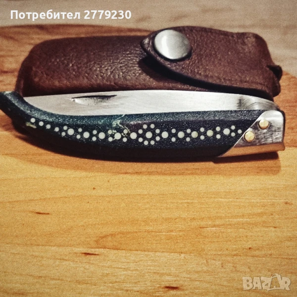 Стара сойка от Костенец на К.Попадийн, снимка 1