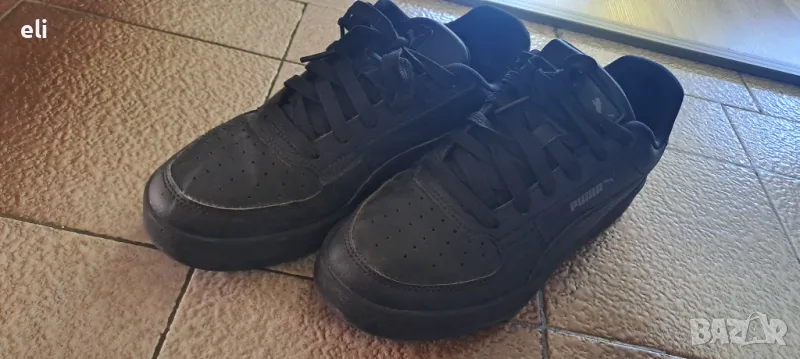 Пума 39, снимка 1