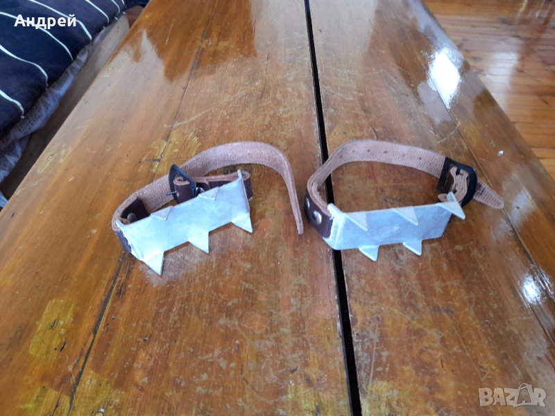 Стари котки #6, снимка 1