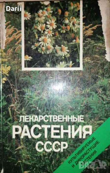 Лекарственные растения СССР: Культивируемые и дикорастущие растения, снимка 1