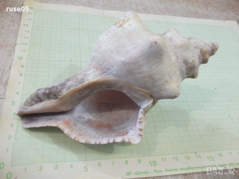 Раковина - 18, снимка 1