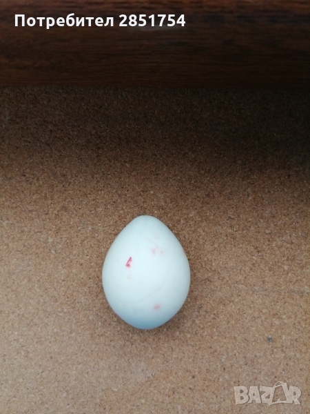 Колекционерско яйце от полускъпоцен камък, снимка 1