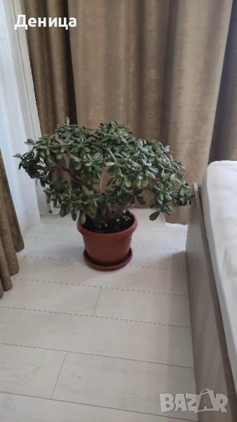 Дърво на живота, 75 см, снимка 1