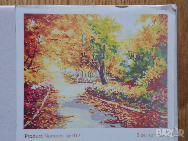 Картина за рисуване по номера