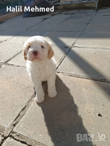 Лагото Романьоло, снимка 5 - Други - 52547291