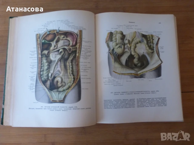 Атлас Анатомия на човека том 2 Синелников, снимка 5 - Енциклопедии, справочници - 50787735
