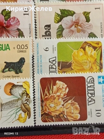 Стари пощенски марки от цял свят смесени ГЪБИ, ЦВЕТЯ, ЖИВОТНИ за КОЛЕКЦИЯ 51979, снимка 9 - Филателия - 53230819